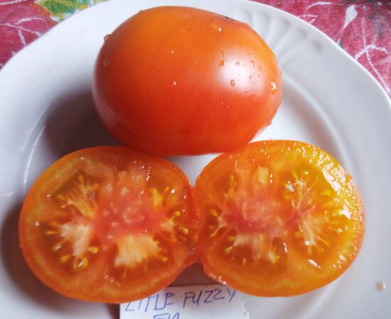 Литтл Фуззи